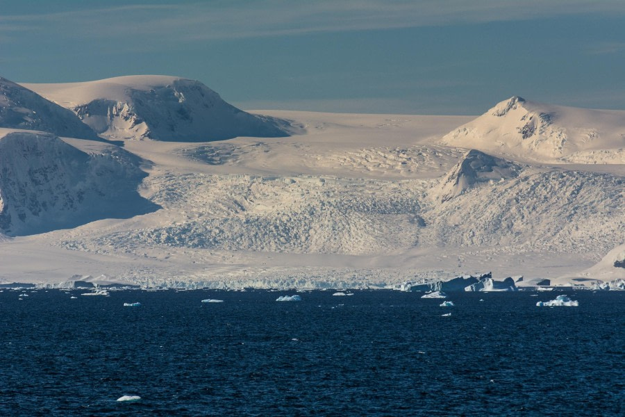 PLA30-24, Day 7, DSC_2480 @ Unknown photographer - Oceanwide Expeditions.jpg