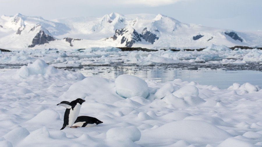 Fish Islands – Crystal Sound – Antarctic Circle