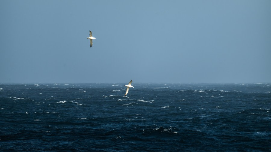 At Sea – Drake Passage