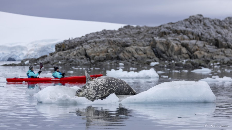 OTL31-24, Day 5, Port Lockroy 5 @ Sara Jenner - Oceanwide Expeditions.jpg