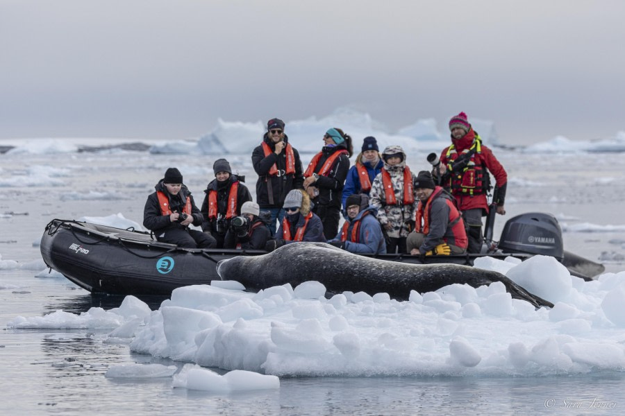 OTL31-24, Day 6, Port Charcot 8 @ Sara Jenner - Oceanwide Expeditions.jpg