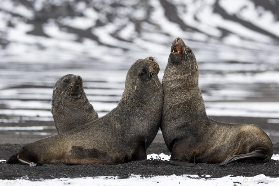 Deception Island