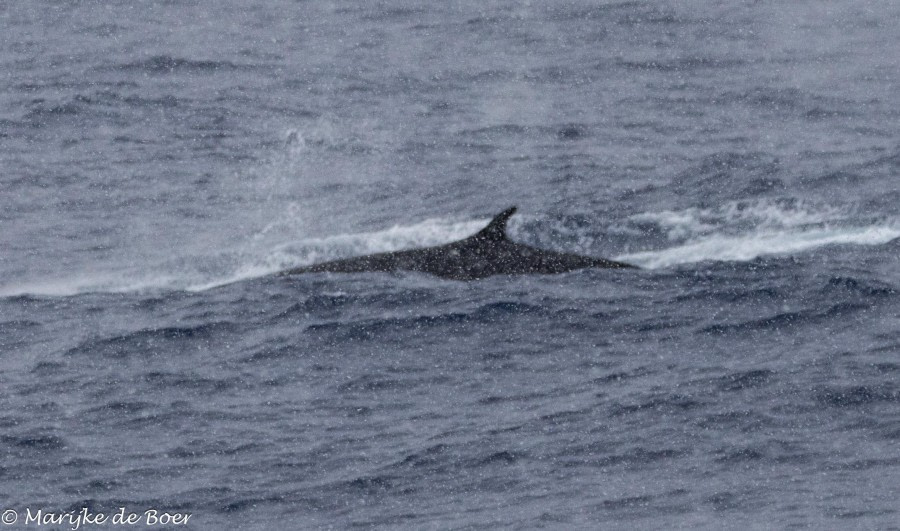 At Sea - Drake Passage