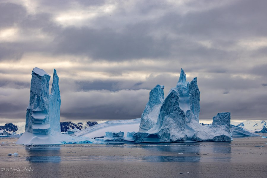 HDS30-24, Day 7, 088A4824 © Martin Anstee - Oceanwide Expeditions.jpg