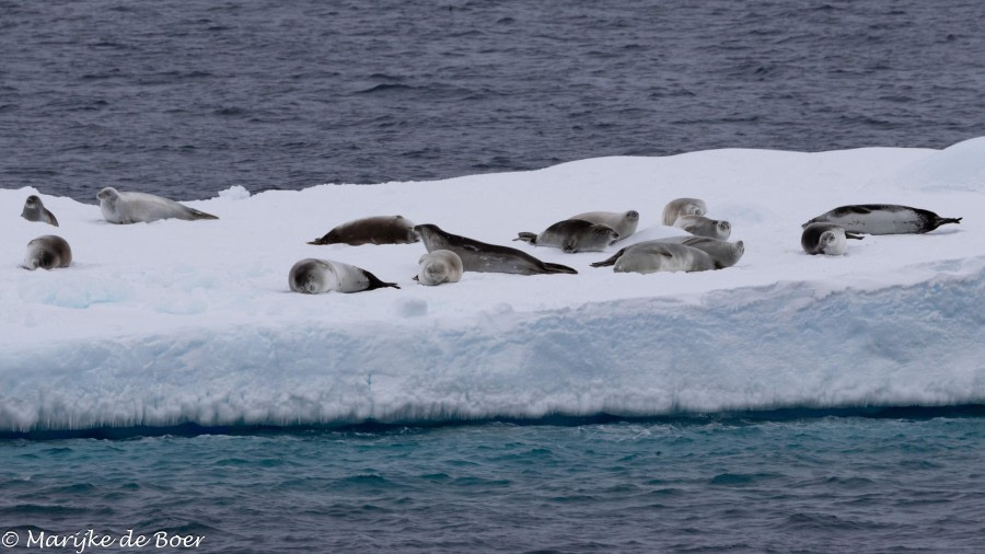 HDS30-24, Day 9, 398A5081 © Marijke de Boer - Oceanwide Expeditions.jpg