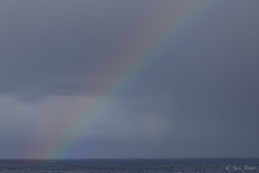 OTL32-24, Day 3, Rainbow 1 @  Sara Jenner - Oceanwide Expeditions.jpg