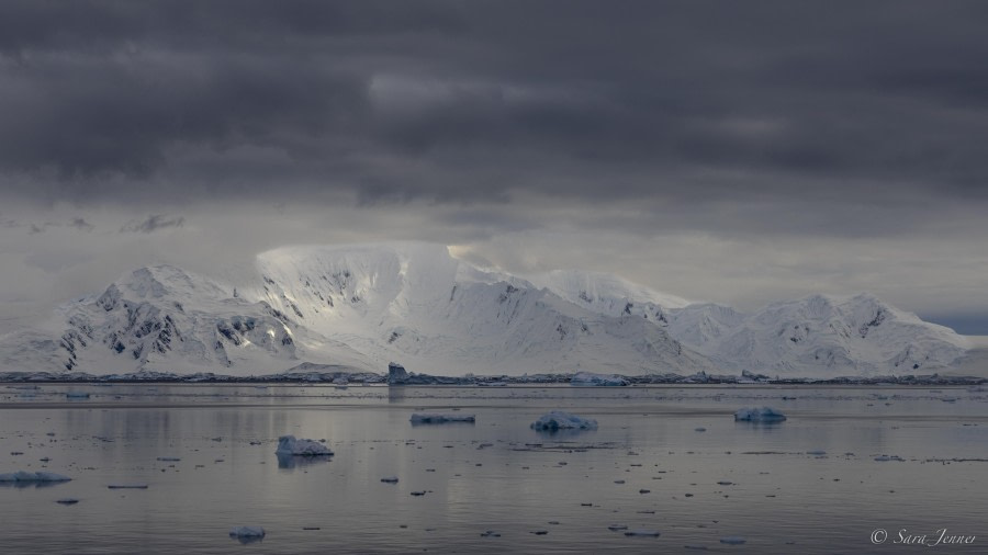 OTL32-24, Day 5, The Gullet 2 @  Sara Jenner - Oceanwide Expeditions.jpg