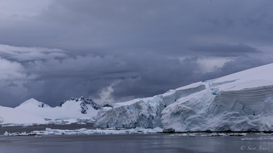 OTL32-24, Day 5, The Gullet 3 @  Sara Jenner - Oceanwide Expeditions.jpg