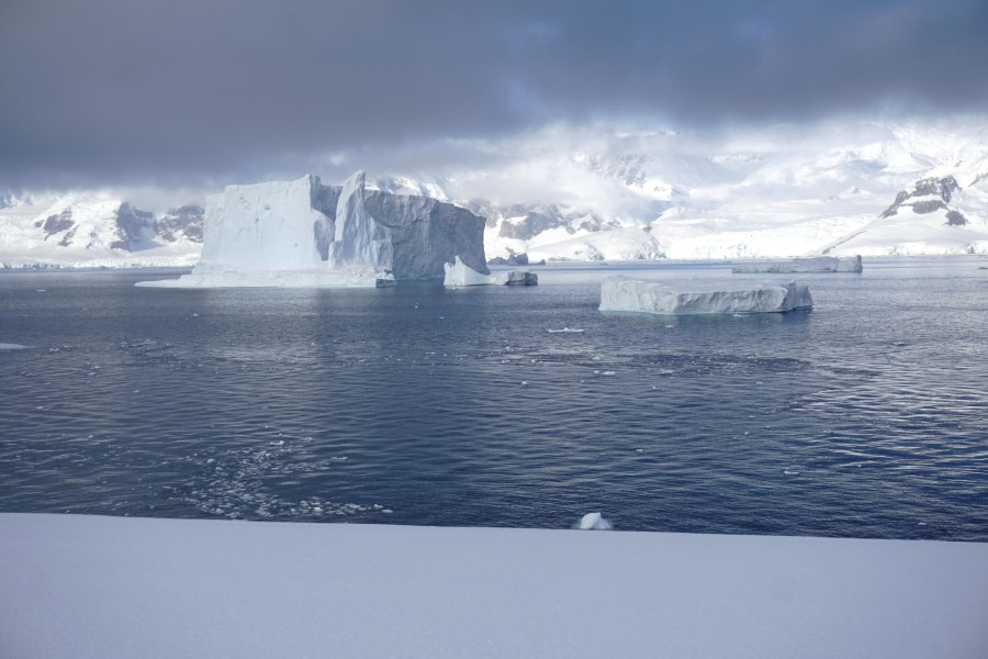 PLA32-24, Day 8, DSC05945 @ Unknown photographer - Oceanwide Expeditions.JPG