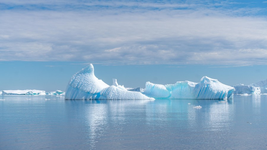 Lacerated Icebergs