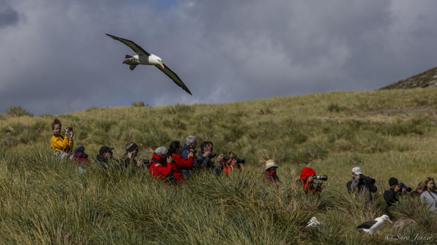 FALKLANDS 8 © Sara Jenner - Oceanwide Expeditions.jpeg