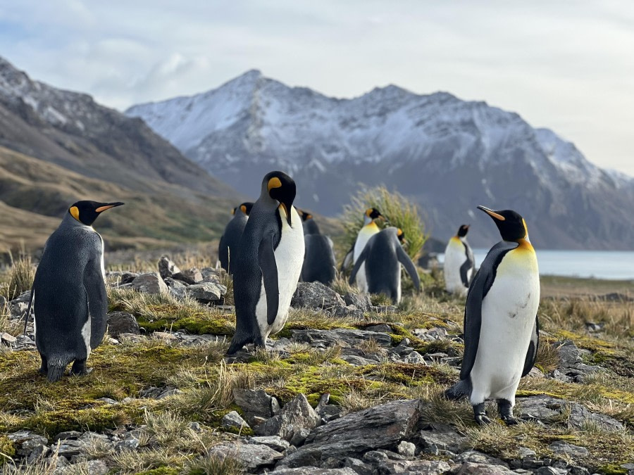 HDS31-24, Day 6, Fortuna © Elizabeth Robinson - Oceanwide Expeditions.jpeg