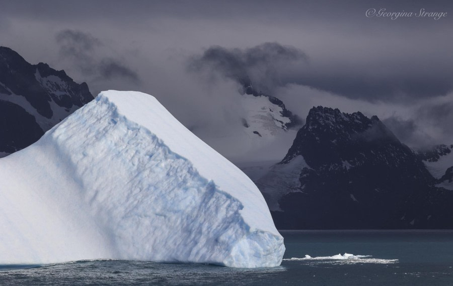 HDS31-24, Day 8, 5A8A4889-Edit © Georgina Strange - Oceanwide Expeditions.jpg