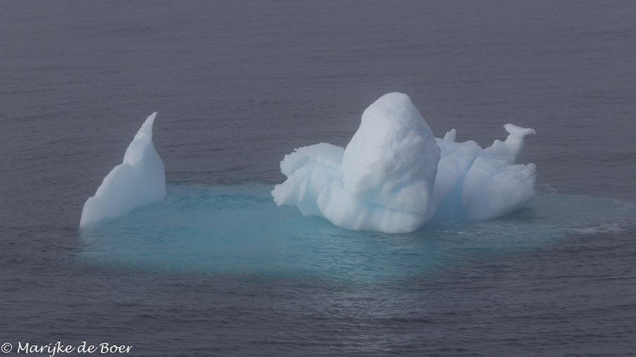 HDS31-24, Day 9, 20240405-398A7271 © Marijke de Boer - Oceanwide Expeditions.jpg