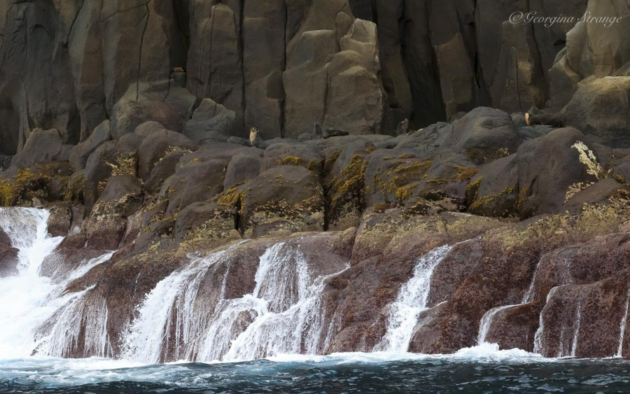 Gough Island