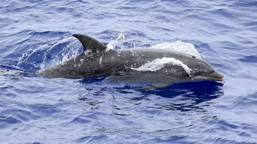 At sea towards St Helena