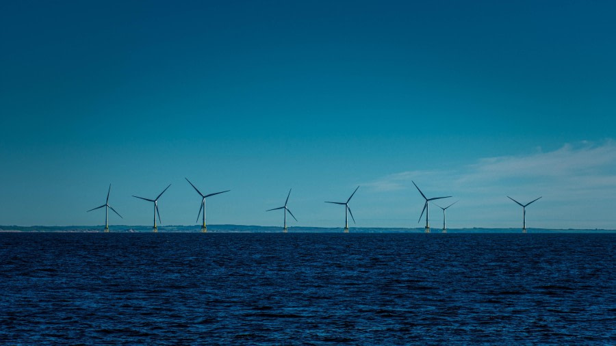 PLA01-24, Day 3, PAZ_3773 © Alexander Romanovskiy - Oceanwide Expeditions.jpg