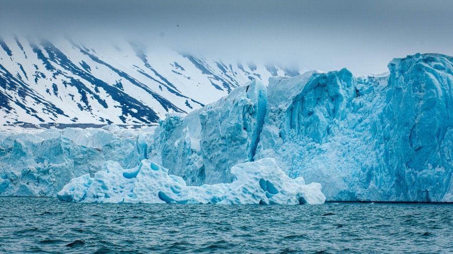 PLA02-24, Day 3, PAZ_4510 © Alexander Romanovskiy - Oceanwide Expeditions.jpg