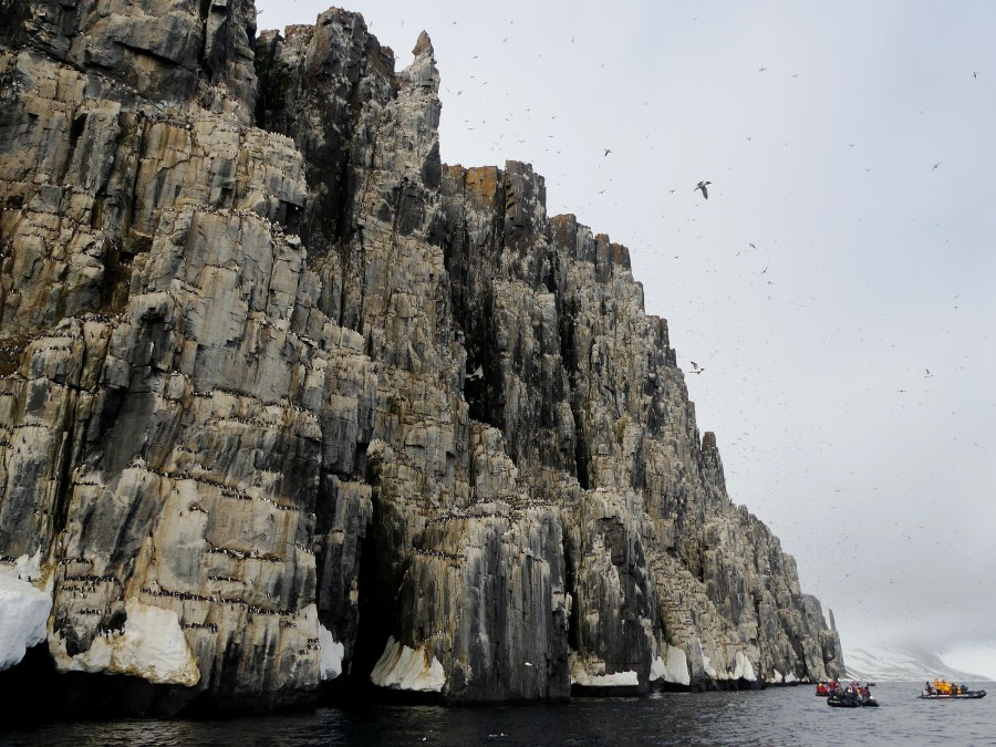 PLA03-24, Day 4, Alkefjellet 2 © Unknown photographer - Oceanwide Expeditions.JPG