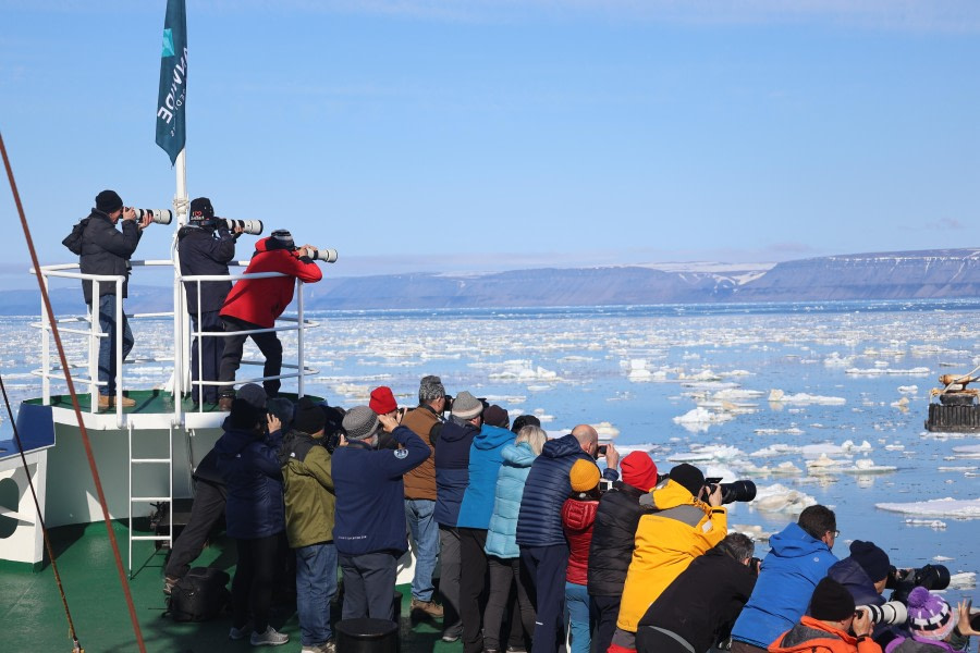 Cruising the Pack Ice