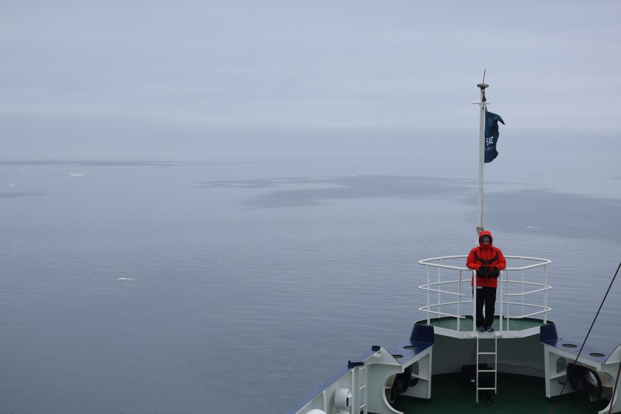 Freemansundet and Cruising the Pack Ice