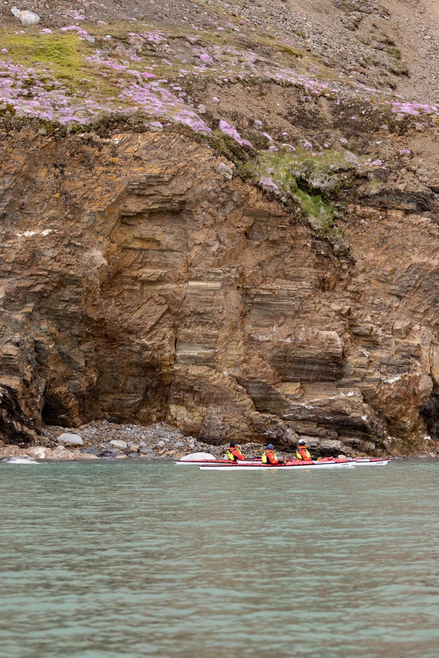 HDS05-24, Day 2, 4Q9A8281 © Katlyn Taylor - Oceanwide Expeditions.jpeg