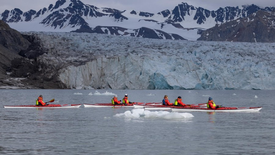 HDS05-24, Day 2, 4Q9A8313 © Katlyn Taylor - Oceanwide Expeditions.jpeg