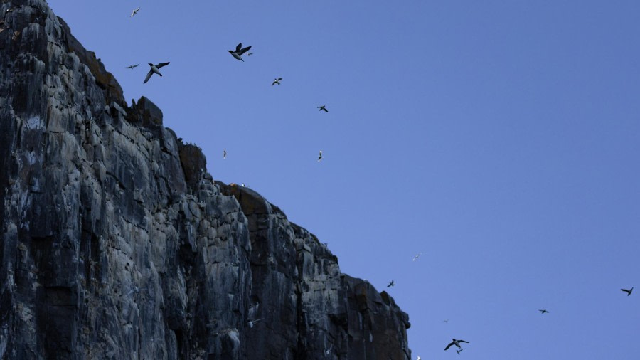 HDS05-24, Day 6, 4Q9A9246 © Katlyn Taylor - Oceanwide Expeditions.jpeg