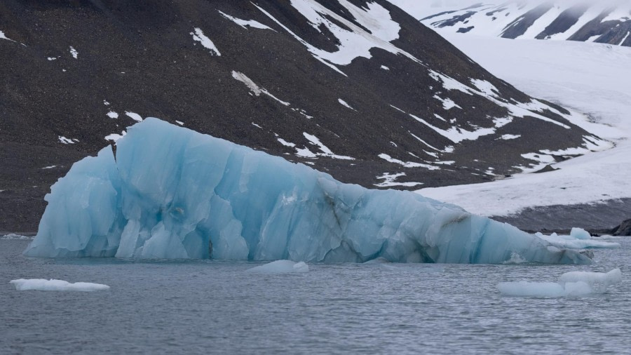 HDS05-24, Day 8, 4Q9A9803 © Katlyn Taylor - Oceanwide Expeditions.jpeg