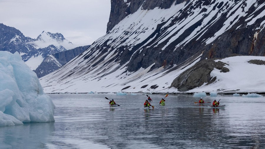 HDS05-24, Day 8, 4Q9A9834 © Katlyn Taylor - Oceanwide Expeditions.jpeg