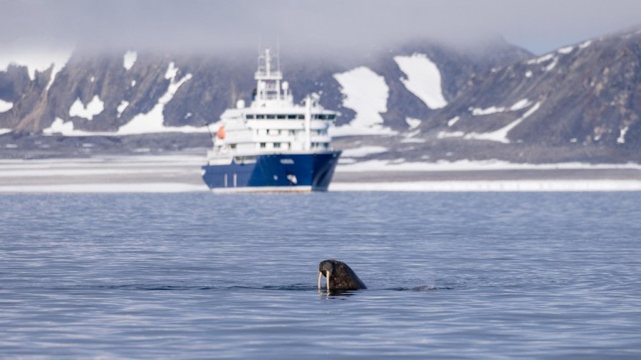 Phippsøya (am) and Parryøya (pm)