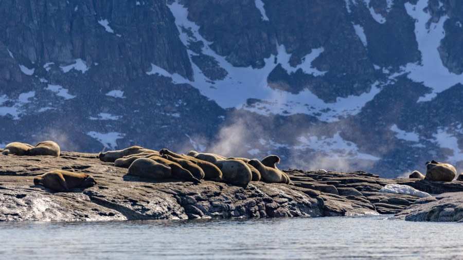 HDS06-24, Day 4, 4Q9A0515 © Katlyn Taylor - Oceanwide Expeditions.jpeg