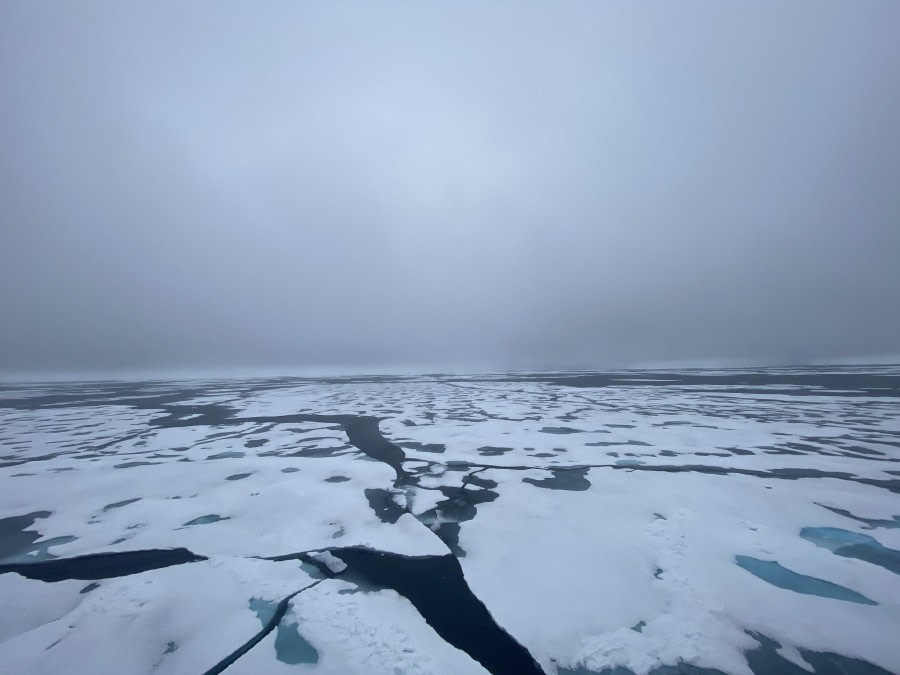 Edge of Pack Ice near 81° N