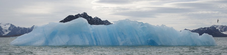 Blue Iceberg - Lillihookbreen