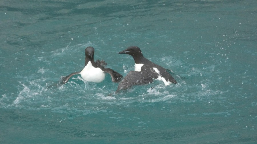 HDS07-24, Day 6, P1060146 © Unknown photographer - Oceanwide Expeditions.JPG