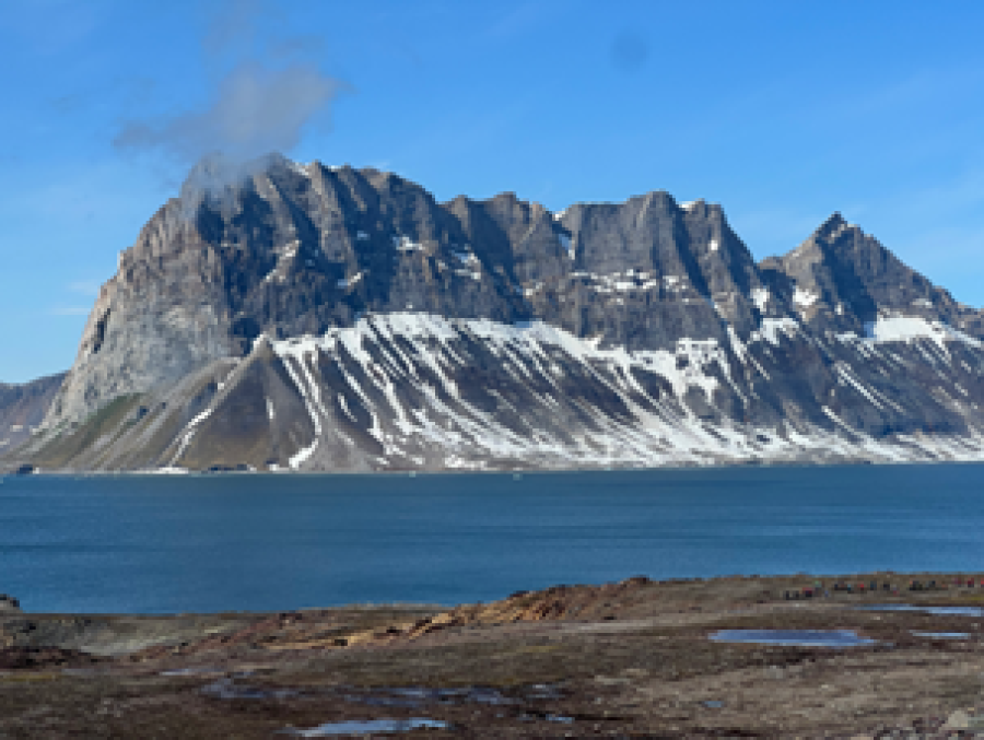 Hyrneodden & Burgerbukta