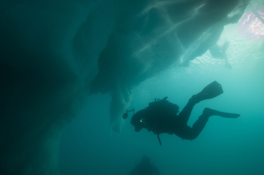 Scuba_Greenland-2017_With Diver © Jim van Gogh - Oceanwide Expeditions.jpg