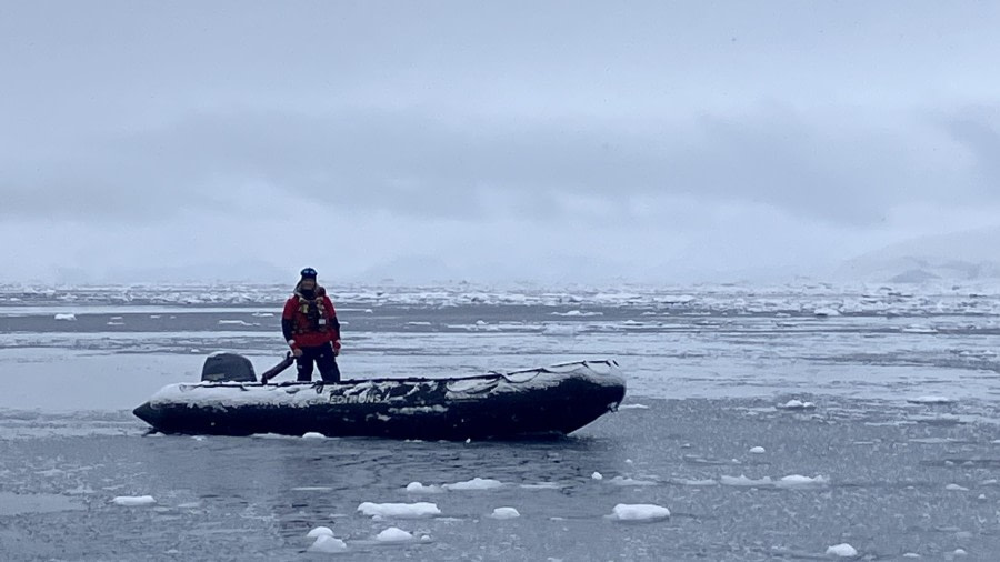 HDS21a24, Day 4, IMG_1966 © Unknown photographer - Oceanwide Expeditions.jpeg