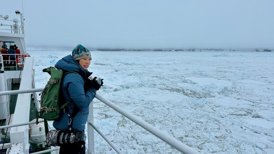 Cruising Antarctic Sound