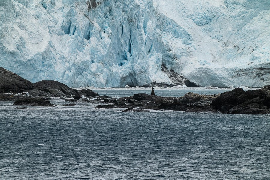 Elephant Island