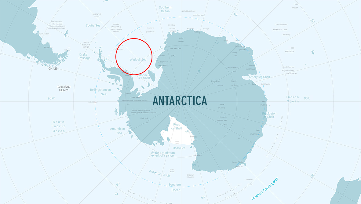 Weddell Sea On World Map Where Is The Weddell Sea Located?