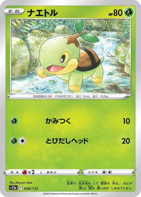 Turtwig