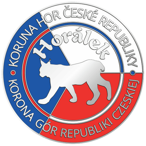 Odznaka jednostopniowa