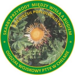 Stopień srebrny