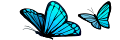 :butterfly: