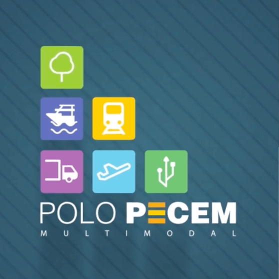 POLO MULTIMODAL PECÉM INVESTIMENTOS S/A