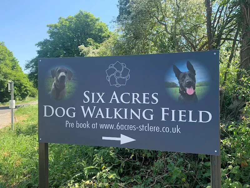 Acres Dog Walking Field secure private dog field in Devizes, SN10 2LU