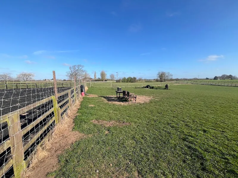 Stone House Farm Freedom Field secure private dog field in Lincoln, LN4 1JB