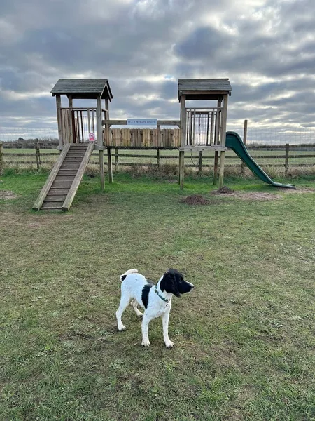 Stone House Farm Freedom Field secure private dog field in Lincoln, LN4 1JB