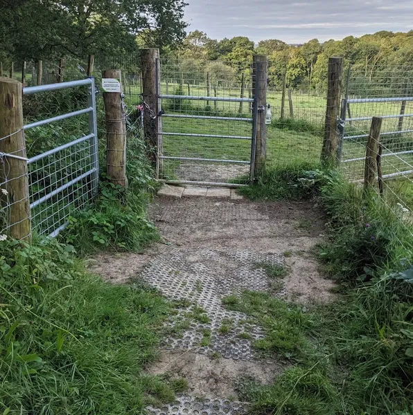 Yogis Field secure private dog field in Kent, TN17 4ET